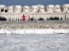 Замерзшее Черное море около Констанцы, Румыния. © Vadim Ghirda/AP Photo